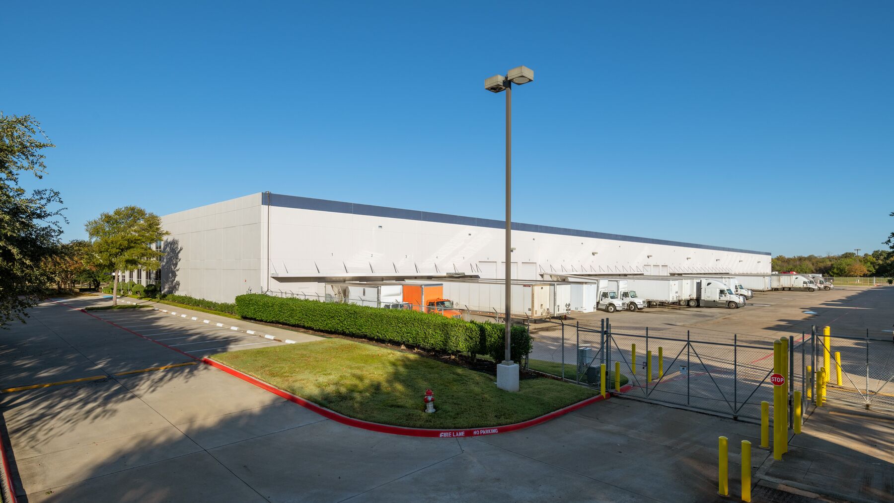 DFW-9-1.jpg