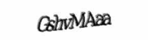 Security check image, please type the characters shown